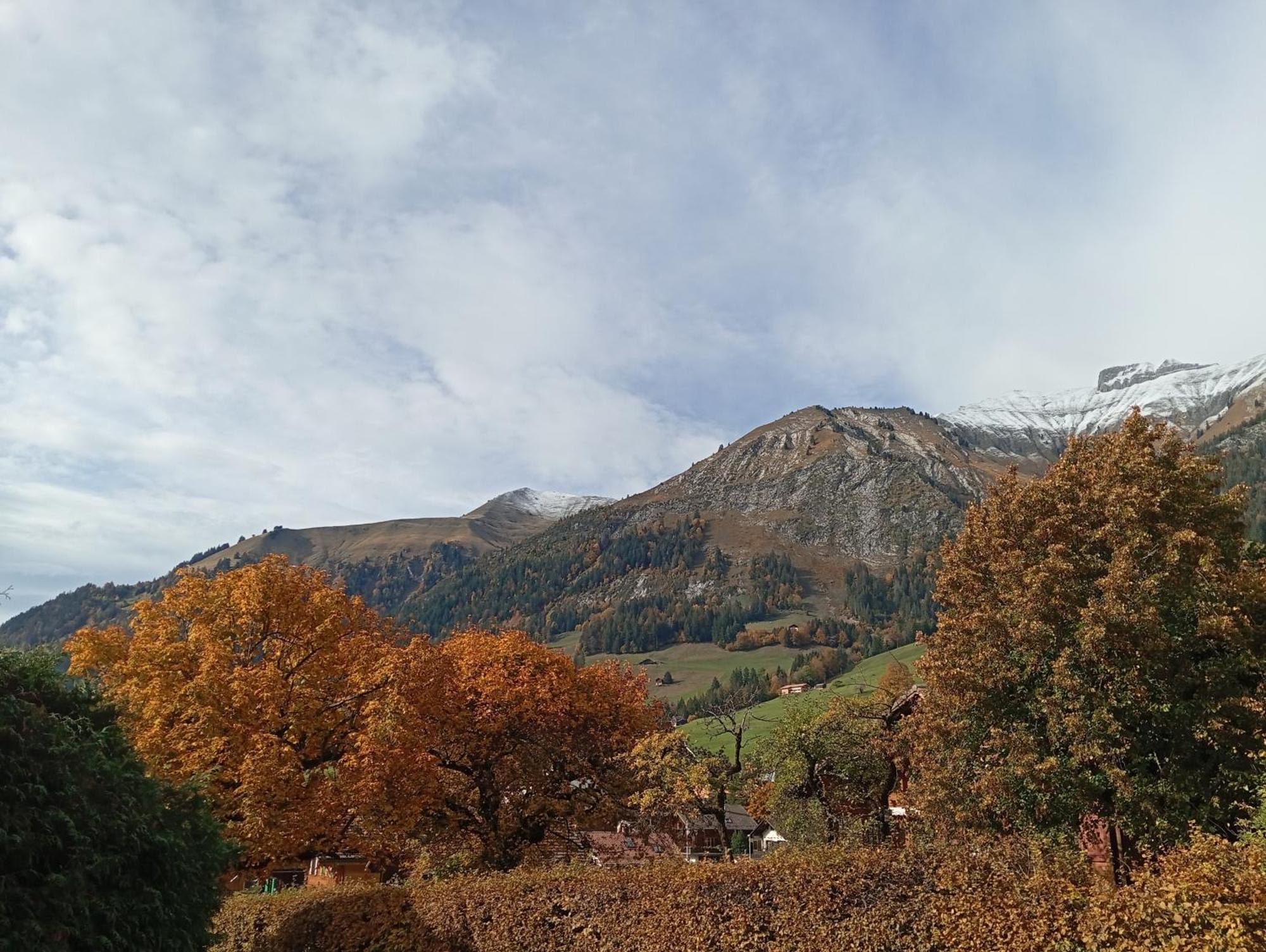 Cozy Apartment In The Heart Of The Alps Шато-д'Е Номер фото